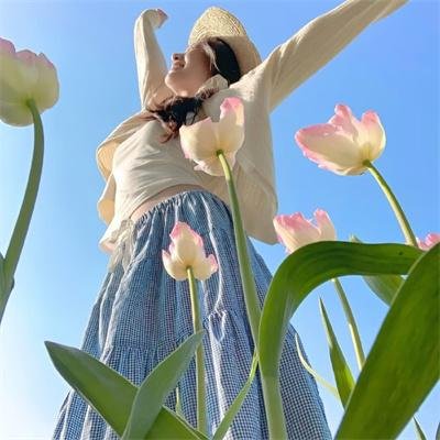 布偶绿野仙踪